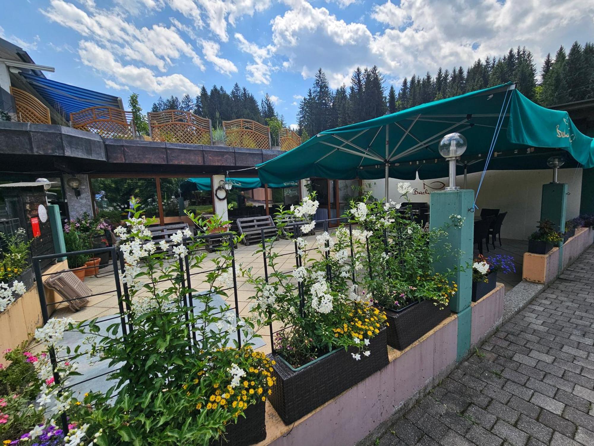 Ski&Bike Nassfeld Apartments Hermagor-Pressegger See Ngoại thất bức ảnh